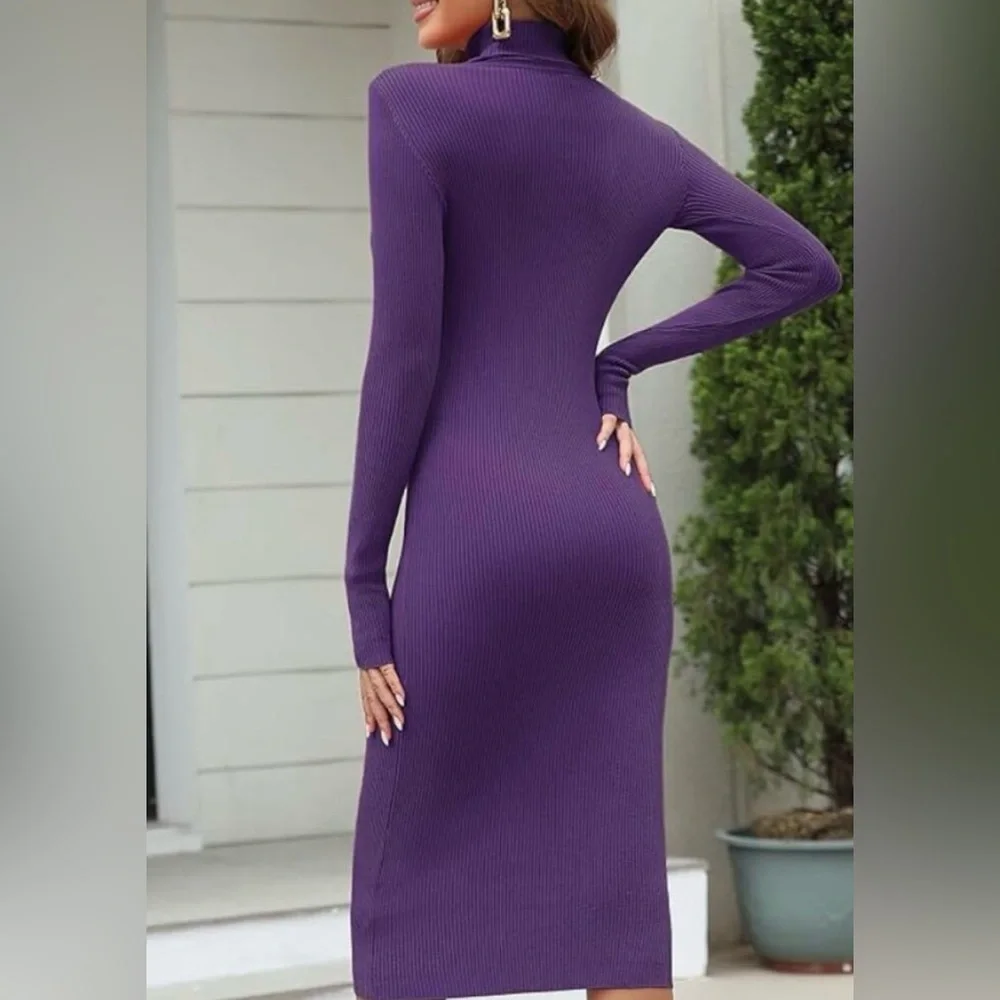 Stitchdrop Ribbed Turtleneck Sweater Dress - NWOT - Picture 3 of 17